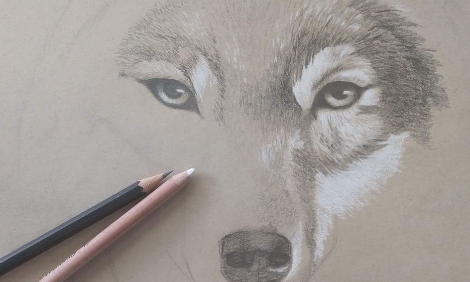 how to draw wolves small online class for ages 8 12 outschool