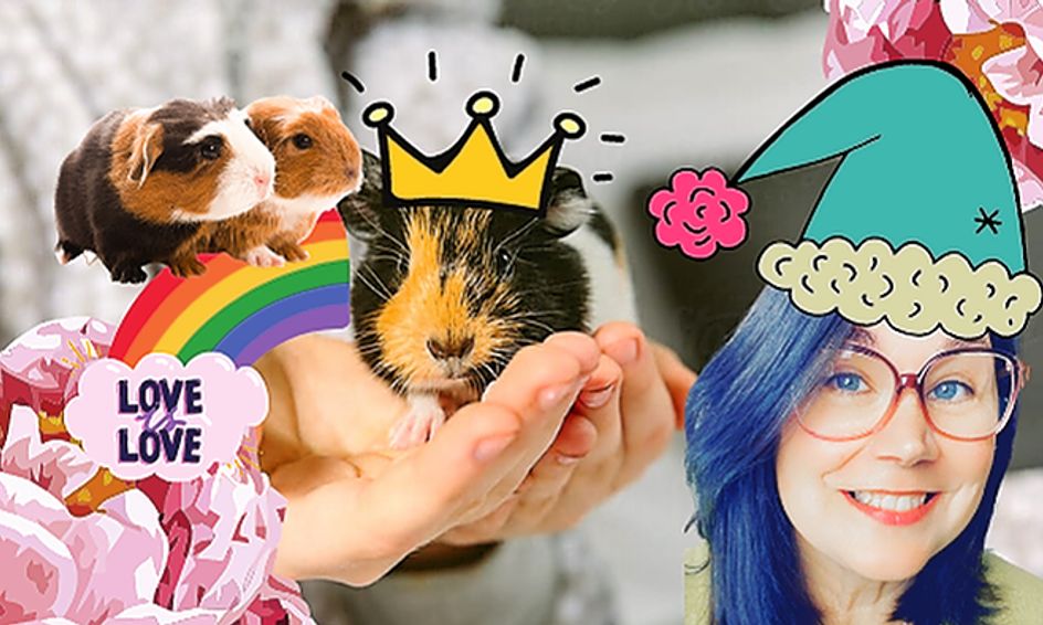 Guinea Pig Nation Meet My Six Guinea Pigs Small Online Class For Ages 3 6 Outschool He makes me read them and watch guinea pig videos almost every day. guinea pig nation meet my six guinea pigs small online class for ages 3 6