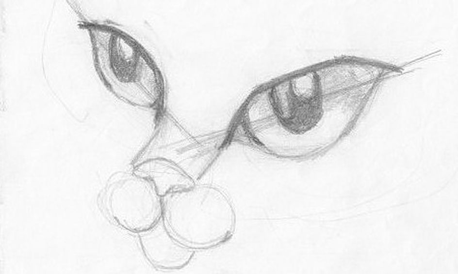 Camp Manga Cat Class Small Online Class For Ages 9 15 Outschool