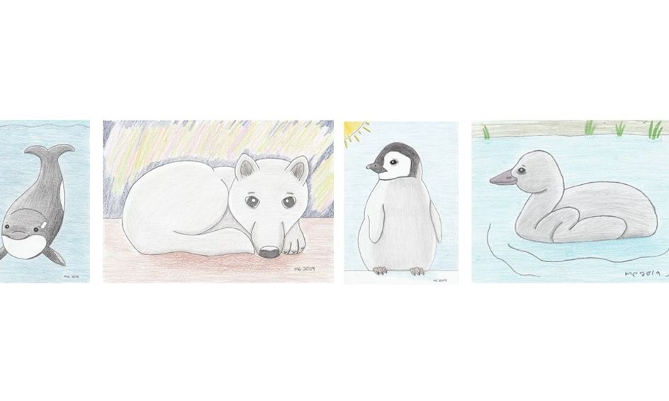 Learn To Draw Baby Animals From Around The World Flexible