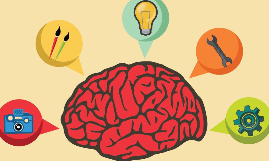 Introduction To Neuroscience Ages 7 9 Small Online Class For