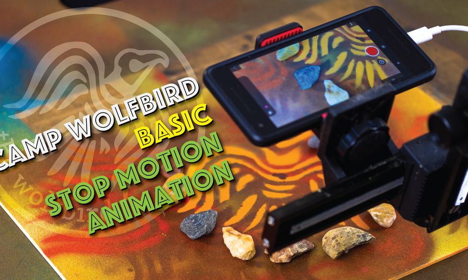 Camp Wolfbird Basic Stop Motion Animation Small Online Class