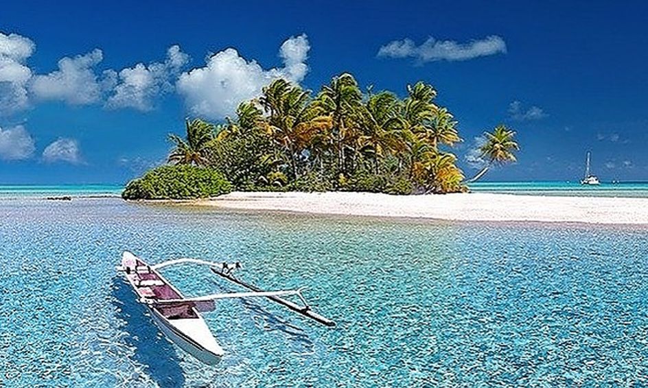 Island Of The Blue Dolphins Book Study Small Online Class For Ages 10 14 Outschool Karana's sister, who is fourteen at the beginning of the novel. island of the blue dolphins book study small online class for ages 10 14