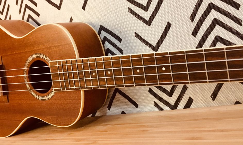 Private Ukulele Lessons Ongoing Small Online Class For Ages 7