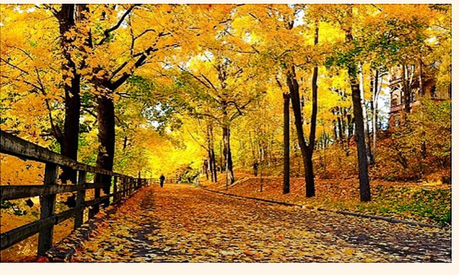 Mindful Meditation Reflection Small Online Class For Ages 10 15 Outschool