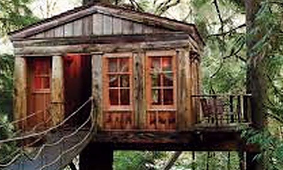 Tree House Construction Camp Diy Building Plan Small Online Class For Ages 8 12 Outschool The house sits dry on the. tree house construction camp diy building plan small online class for ages 8 12