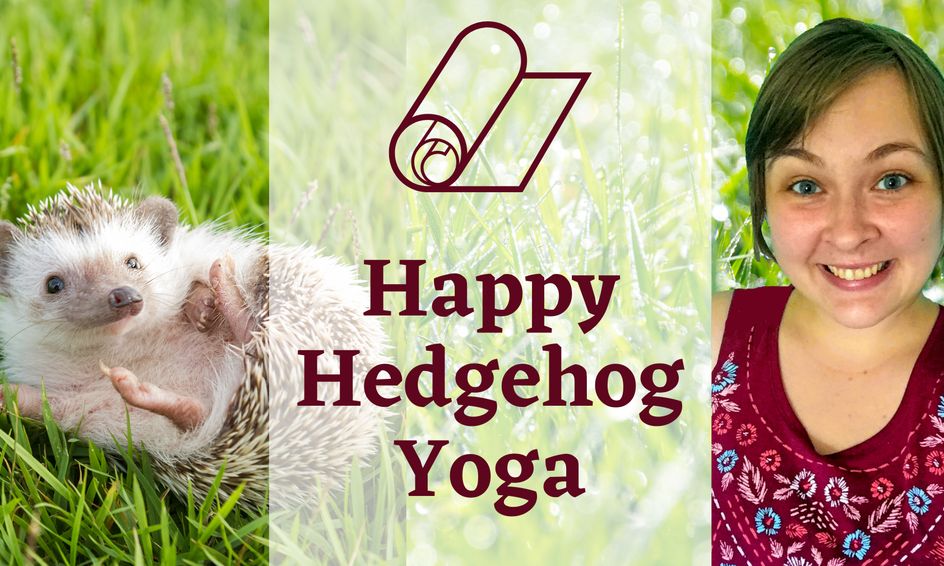 pics Happy Hedgehog Photos happy hedgehog yoga ages 6 8 small online class for ages 6 8