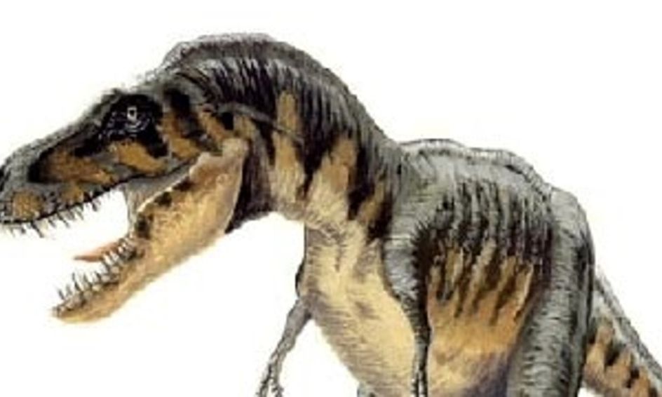 3 dinosaurs from the triassic period