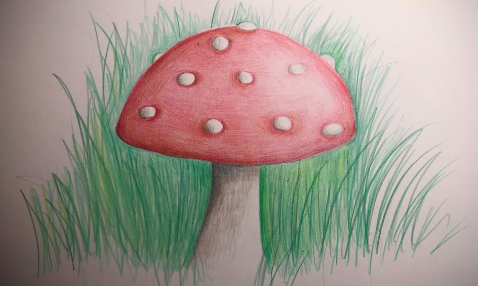 Colour Pencil Drawing Focus On Shading And Tone Small Online Class For Ages 8 12 Outschool Together with a glossary of art terms and a practical color microform : outschool