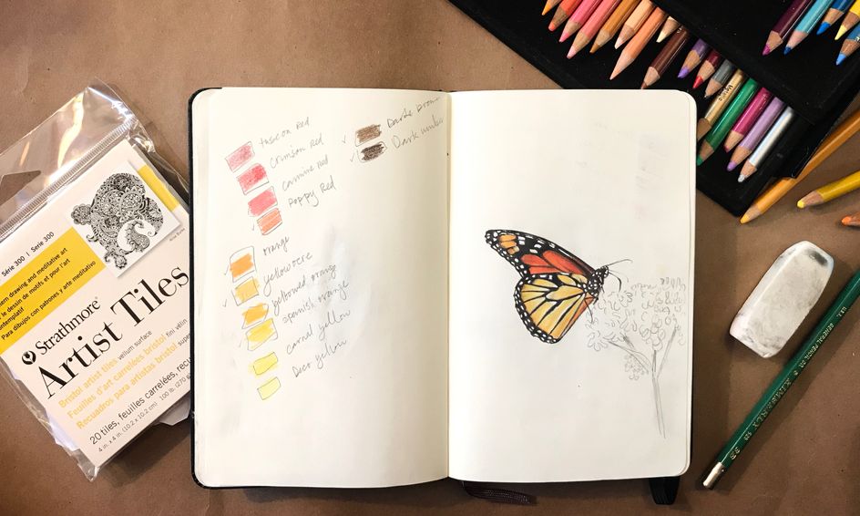 Mini Nature Drawings In Colored Pencils Butterfly Flower Bird Ages 9 13 Small Online Class For Ages 9 13 Outschool Nature butterfly on flower drawing mini nature drawings in colored pencils butterfly flower bird ages 9 13 small online class for ages 9 13