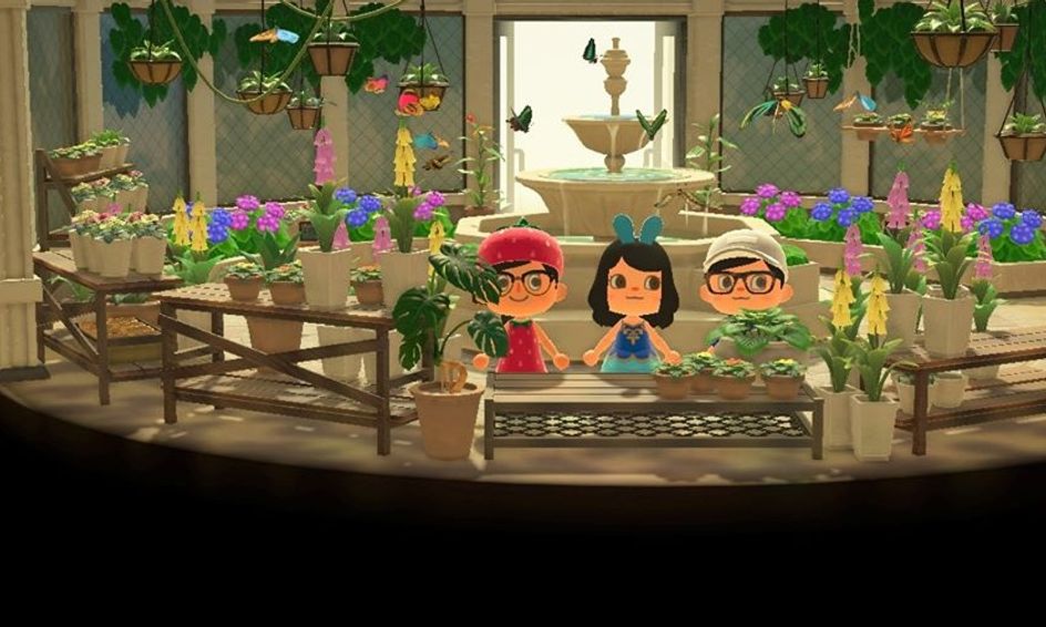 Animal Crossing Science Bug Ecology Small Online Class