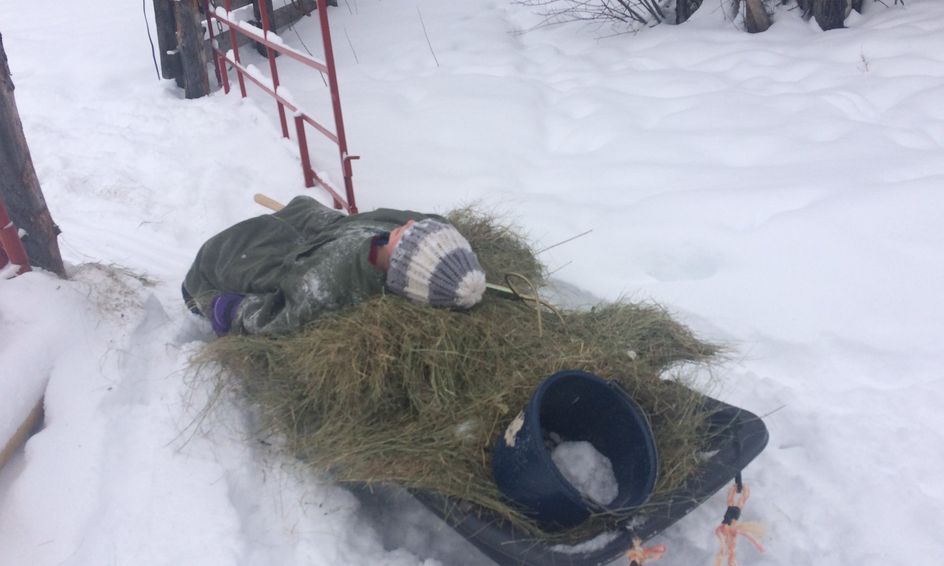 Winter On The Farm Small Online Class For Ages 3 5 Outschool