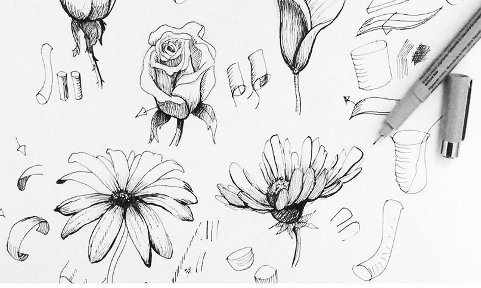 Draw More Realistic Flowers Small Online Class For Ages 10 12 Outschool