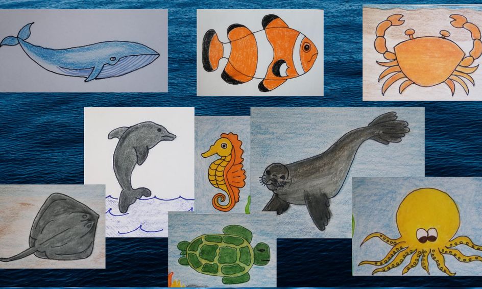 Let's Draw Ocean Animals Directed Drawing Art and Science Unit Study