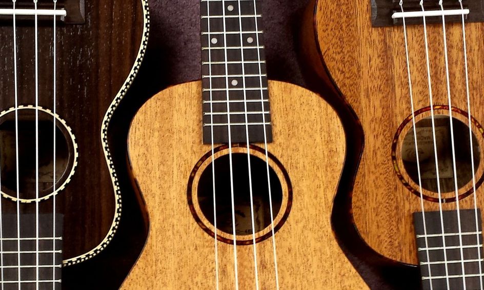 The Duke Of Uke Beatles Edition Small Online Class For Ages 8