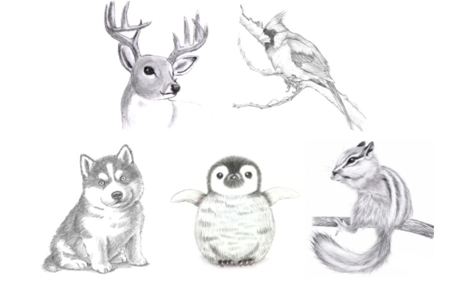 5 Day Pencil Sketching Art Camp Realistic Winter Animals Reindeer Cardinal Small Online Class For Ages 8 13 Outschool Another free still life for beginners step by step drawing video tutorial. 5 day pencil sketching art camp realistic winter animals reindeer cardinal small online class for ages 8 13