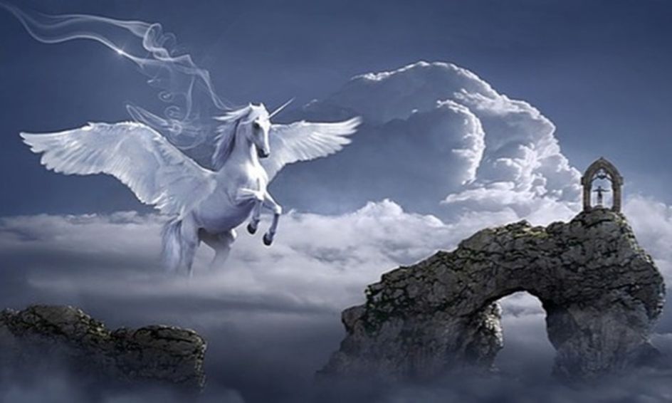 Writing And Self Publishing A Fantasy Novel Small Online Class