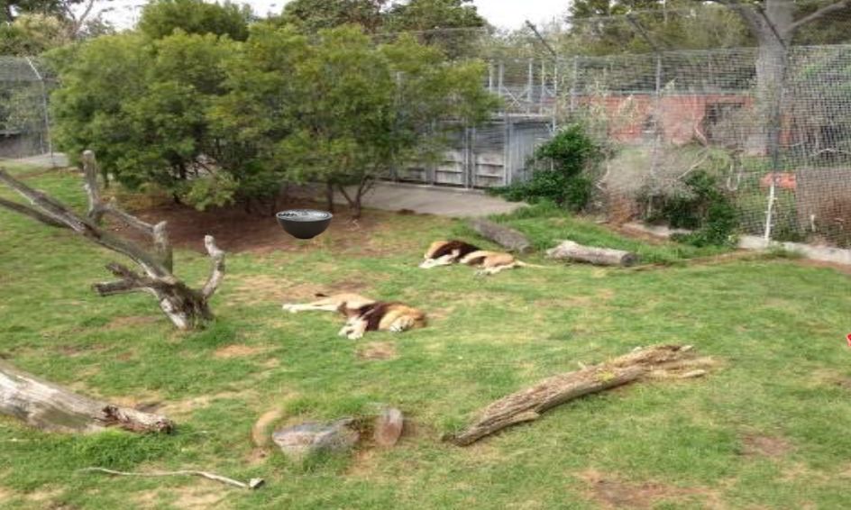 Animal Trivia Escape Room Locked In A Zoo Enclosure Small Online Class For Ages 8 11 Outschool