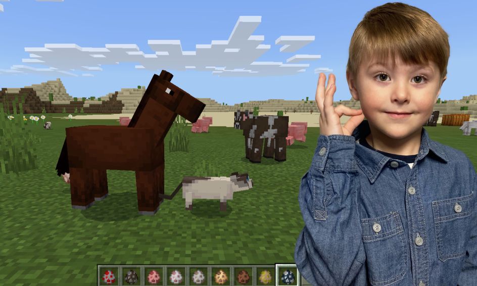 Minecraft Asl Safari American Sign Language Small Online Class For Ages 5 8 Outschool