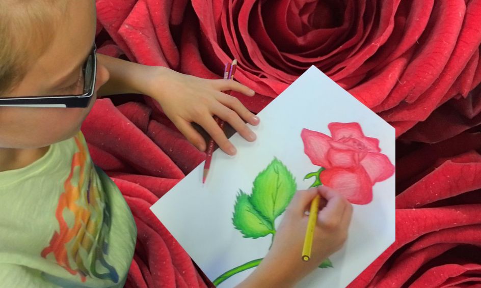 Realistic Flower Drawing Rose One Time Class Art With Meg Navarro Small Online Class For Ages 7 11 Outschool Drawing a cute cartoon drawing is easy in this drawing tutorial. realistic flower drawing rose one time class art with meg navarro small online class for ages 7 11