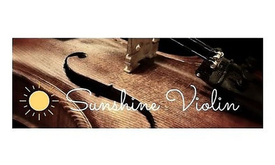 Sunshine Violin Private Lessons Small Online Class For Ages 5