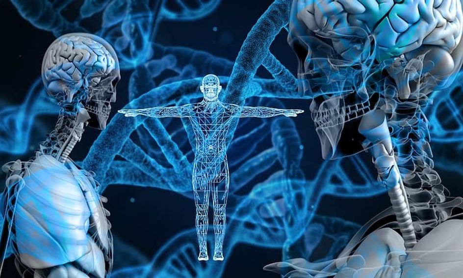 The Molecular Genetics Of Armpits And Earwax Small Online Class