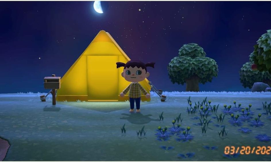 Discussion Animal Crossing New Horizons Small Online Class For
