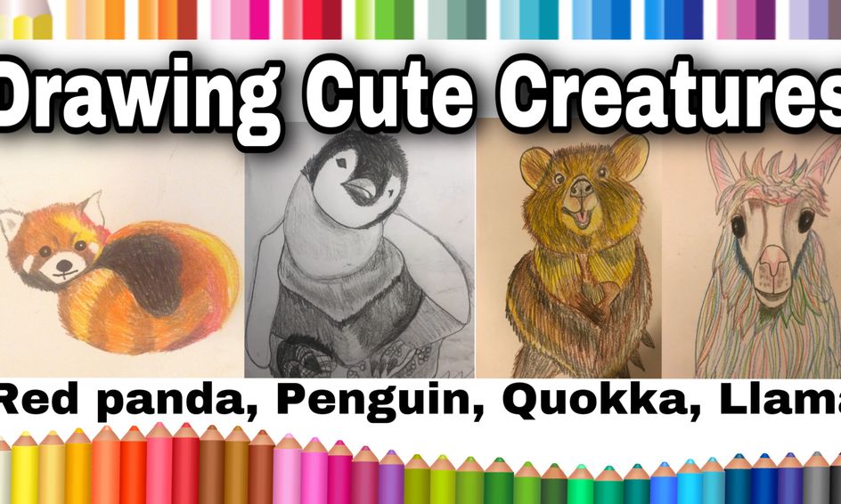 Drawing Cute Creatures Red Pandas Baby Penguins Quokkas And Llamas Small Online Class For Ages 8 13 Outschool,How To Draw Japanese Girl Cartoon Characters