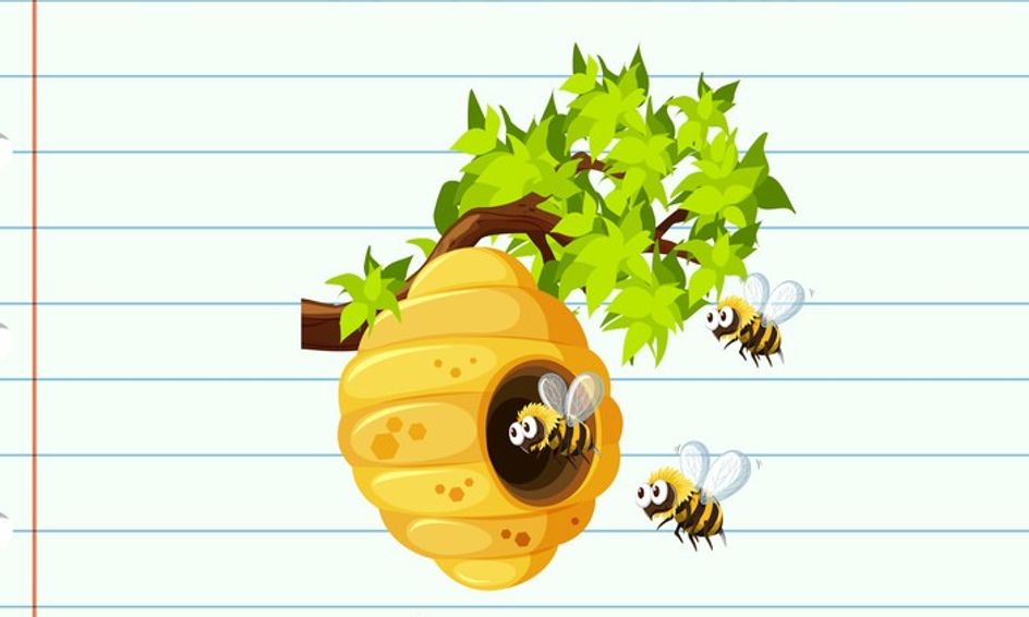 What S The Buzz Level Three Bee Advanced Words For Grades 6 8
