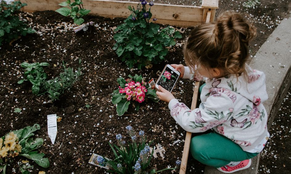 Making Your Garden Grow Small Online Class For Ages 8 11 Outschool