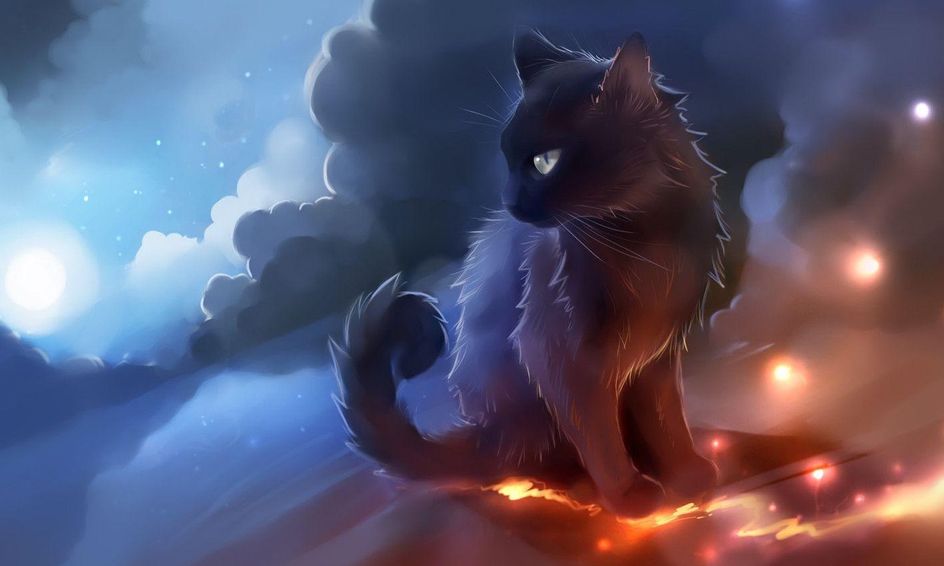 Warrior Cats Camp Draw Chat And Create Small Online Class For Ages 8 13 Outschool