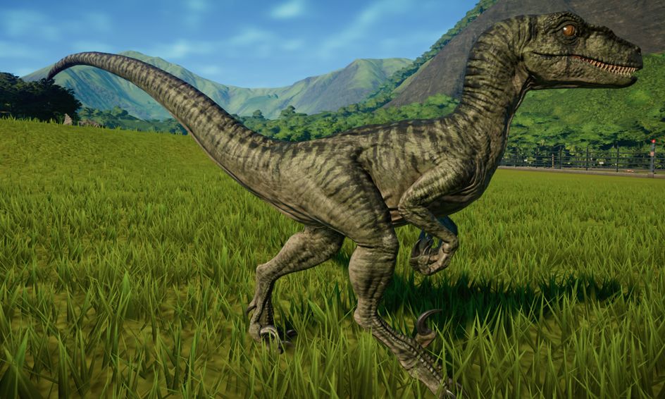 true velociraptor