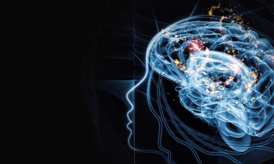Psychology Quick Class How Memory Works Small Online Class For