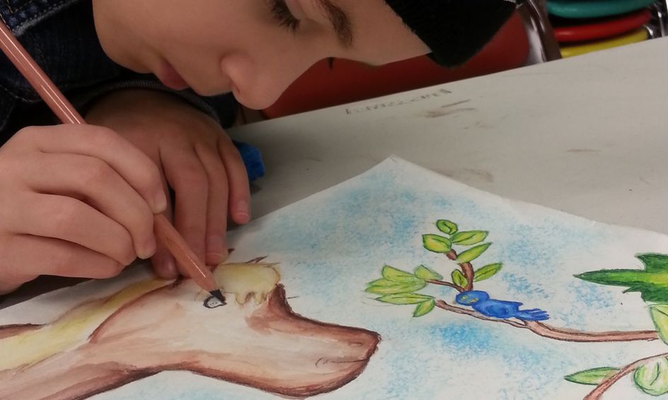 Draw Realistic Animals Horse Small Online Class For Ages 7 12 Outschool