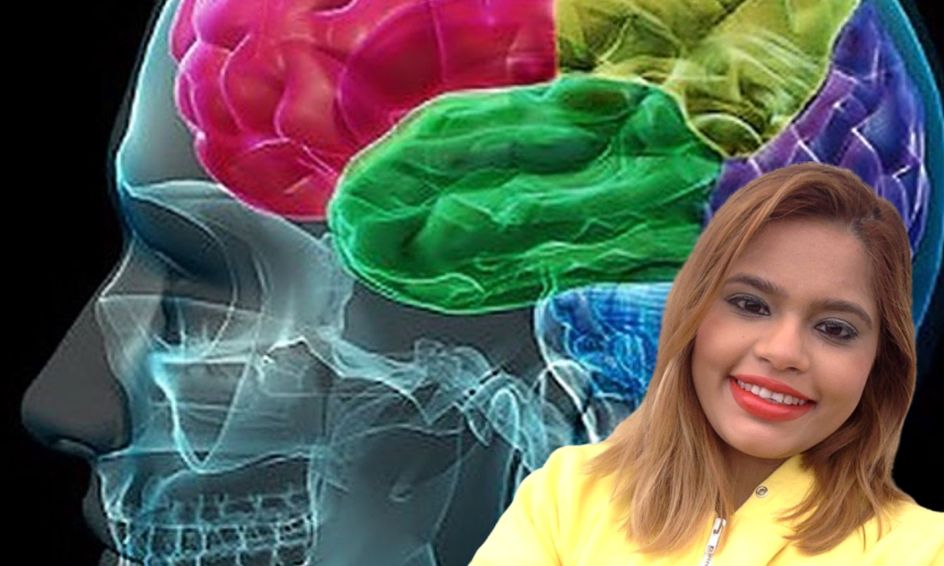 Let S Draw Neuroanatomy Part 2 Prerequisite Intro To