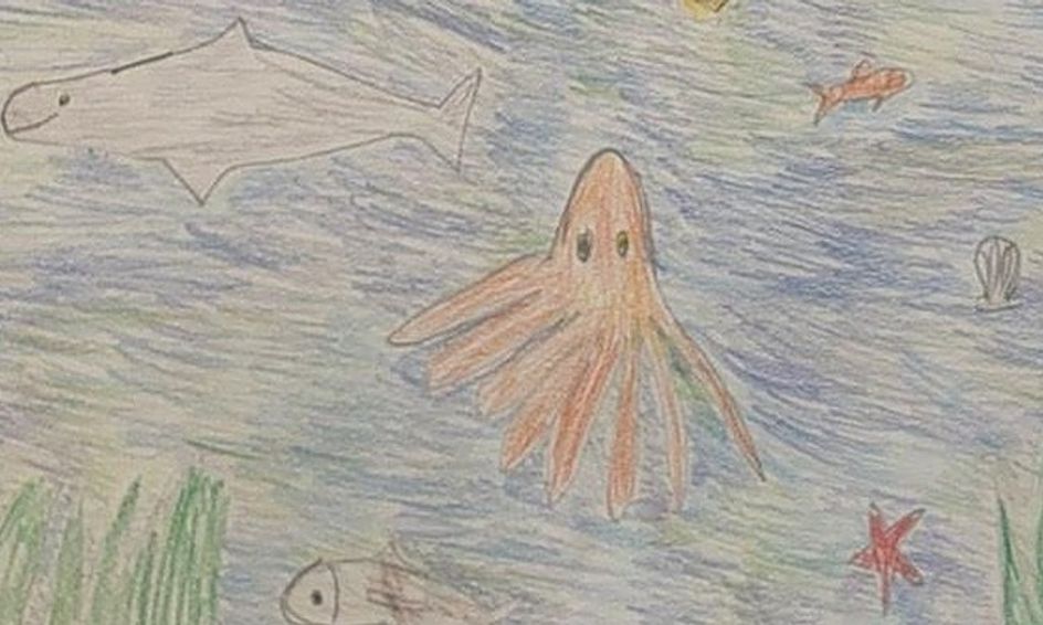 Under The Sea Drawing Ocean Creatures Composing The Page Small
