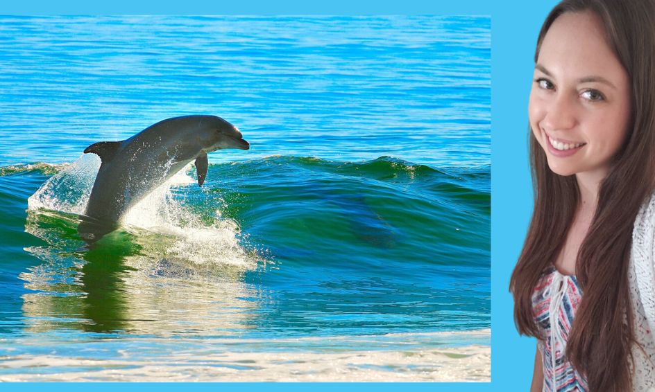 Draw Realistic Animals Dolphin One Time Class Art With Meg Navarro Small Online Class For Ages 7 11 Outschool Select from 35478 printable coloring pages of cartoons, animals, nature, bible and many more. draw realistic animals dolphin one time class art with meg navarro small online class for ages 7 11