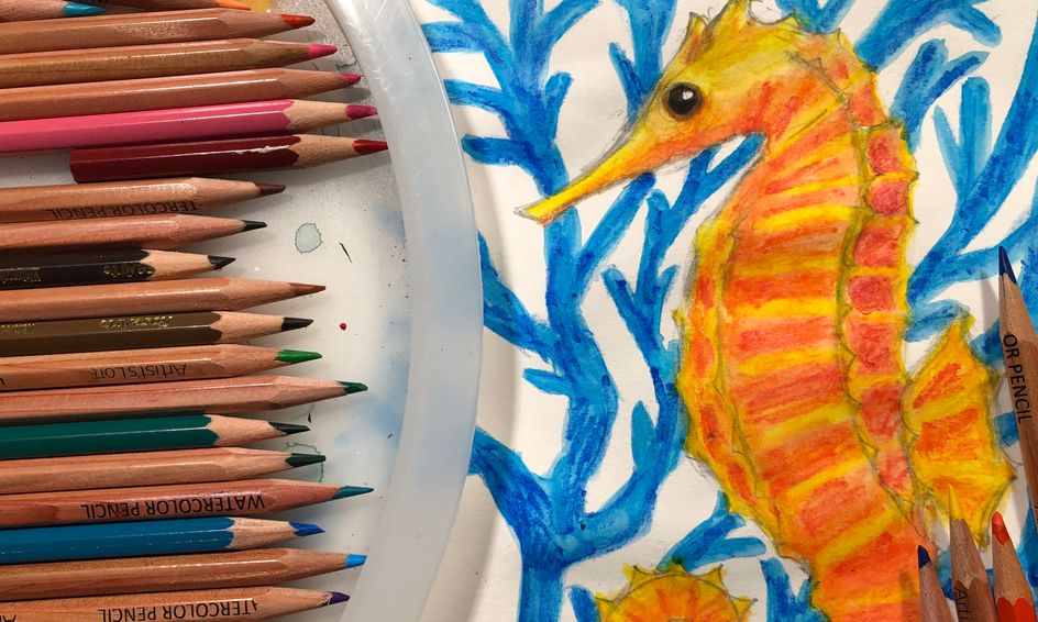1 Week Camp Drawing Ocean Life With Watercolor Pencils Small
