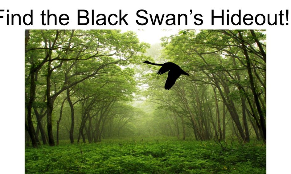 Find The Black Swan S Hideout Keeper Of The Lost Cities Neverseen Escape Room Small Online Class For Ages 10 14 Outschool - forgotten classes black magic roblox