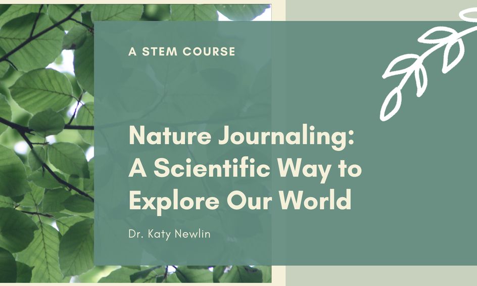 Nature Journaling A Scientific Way To Explore Our World Small