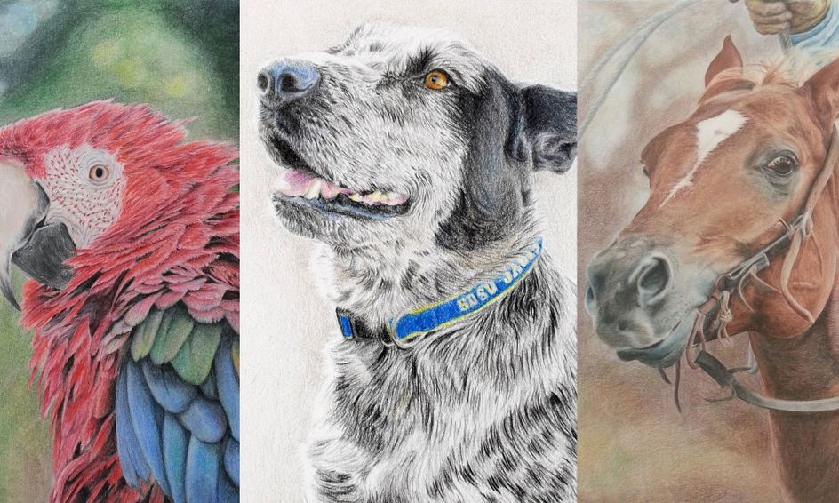 Colored Pencil Animals Advanced Drawing Techniques Small Online Class For Ages 14 18 Outschool