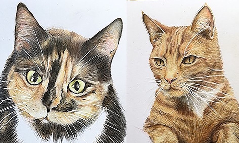 Let S Draw Cats Masterclass 90mins Small Online Class For Ages 10 14 Outschool Drawing for kids and beginners. let s draw cats masterclass 90mins small online class for ages 10 14