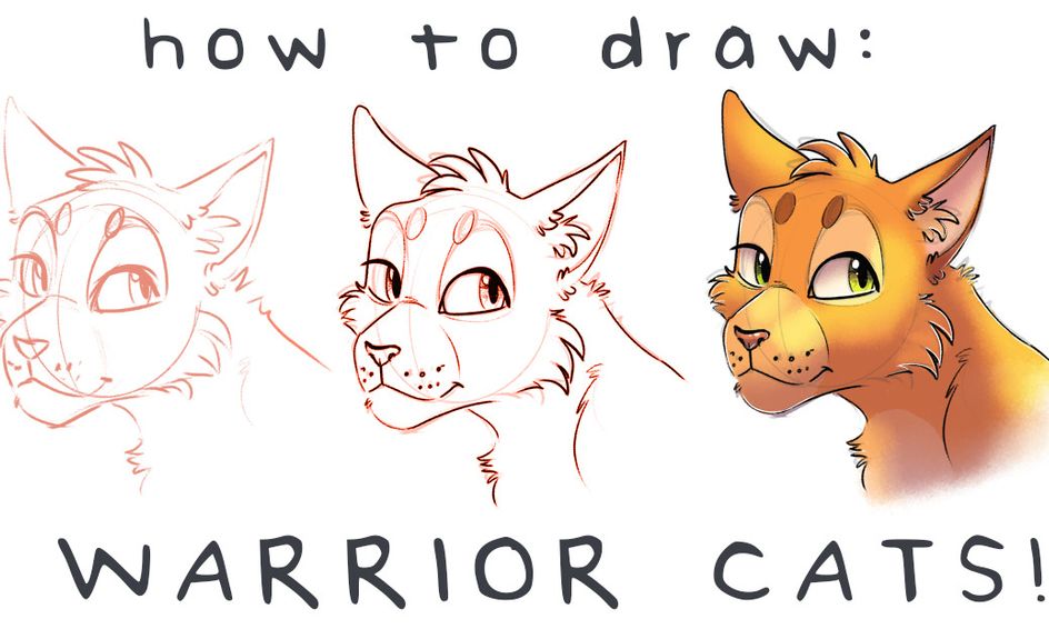How to Draw Warrior Cats! Small Online Class for Ages 1015 Outschool