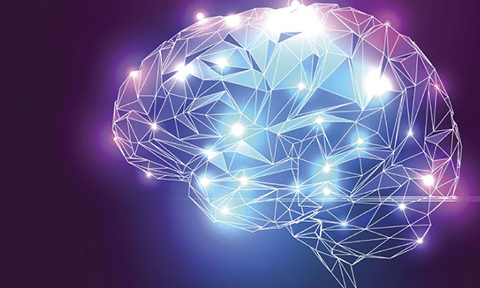 Introduction To Psychology Small Online Class For Ages 13 18