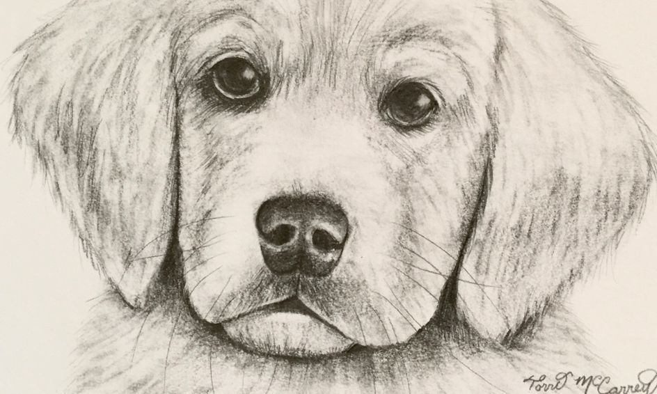 Featured image of post Puppy Realistic Dog Drawings : Artist ivan hoo creates drawings that looks like.