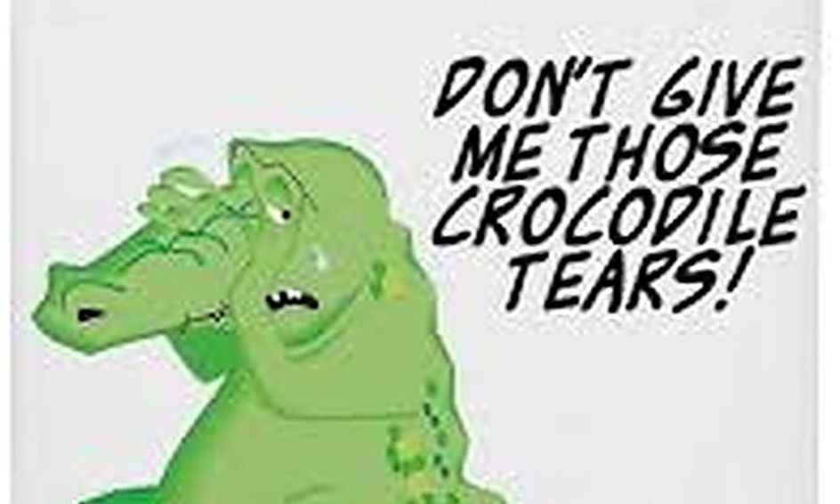 The History Of Idioms Say What Small Online Class For Ages 10 13 Outschool