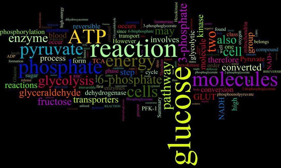 Basics Of Biochemistry Small Online Class For Ages 14 18 Outschool