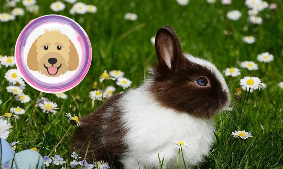 Listen With Lizzie Story Time About Seasons The Happy Rabbit Small Online Class For Ages 4 6 Outschool