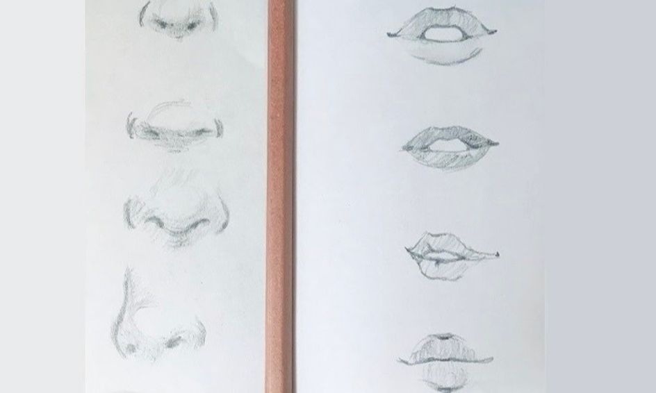 Let S Draw Semi Realistic Nose And Mouth Small Online Class For Ages 10 14 Outschool,Drawing The Line Lyrics Royal Pirates