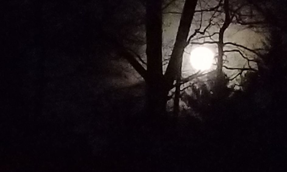 Wolves In Folklore Religion And Mythology Wikipedia
